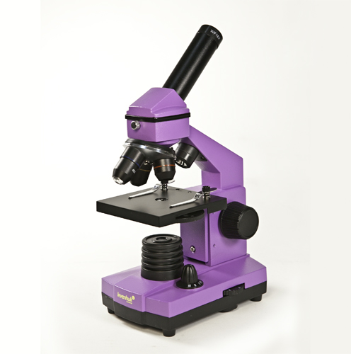 Levenhuk Mikroskop Rainbow 2L NG Amethyst