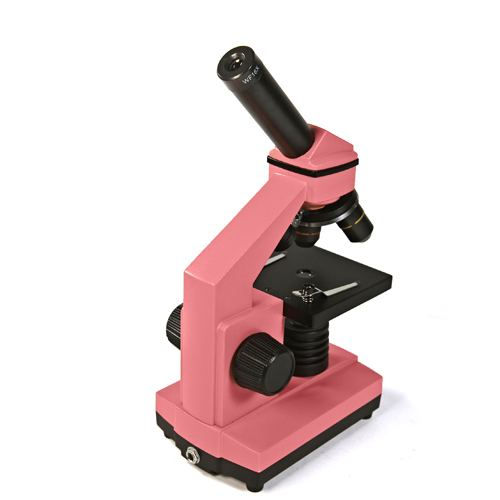Levenhuk Mikroskop Rainbow 2L NG Rose