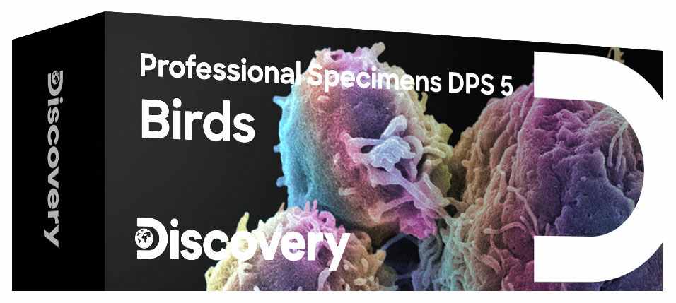 Sada mikropreparátů Discovery Prof DPS 5 ptáci