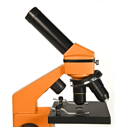 Levenhuk Mikroskop Rainbow 2L NG Orange