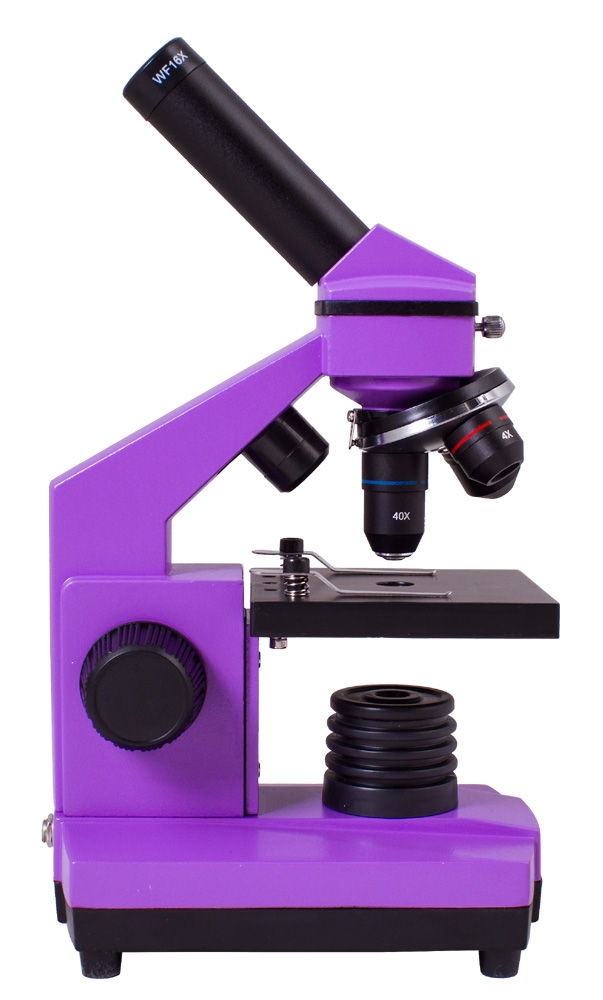 Levenhuk Mikroskop Rainbow 2L PLUS Amethyst