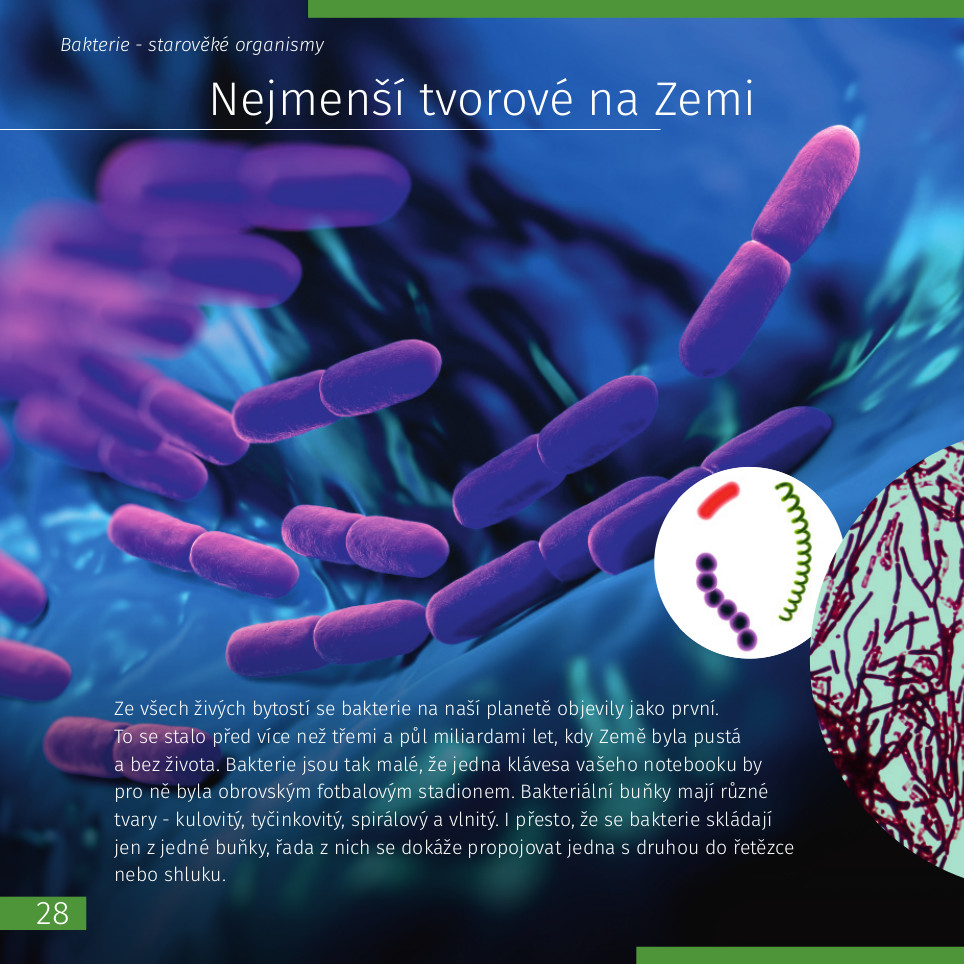 Vzdělávací publikace Neviditelný svět