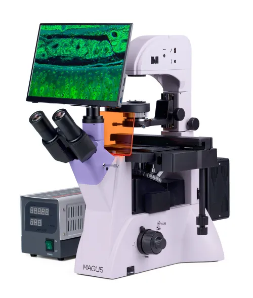 Fluorescenční inverzní digitální mikroskop MAGUS Lum VD500 LCD